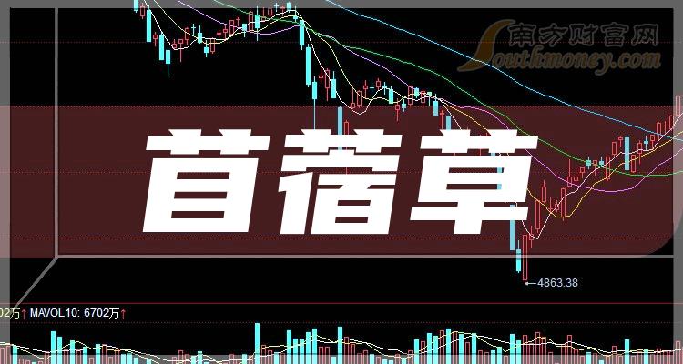 金道科技：截至2024年5月31日，公司股东总数为8,337户