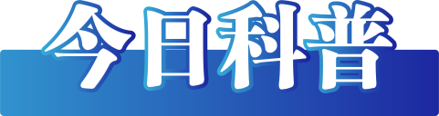 （2024年6月4日）今日PVC期货最新价格行情查询