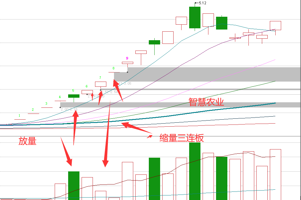 智慧农业连收3个涨停板