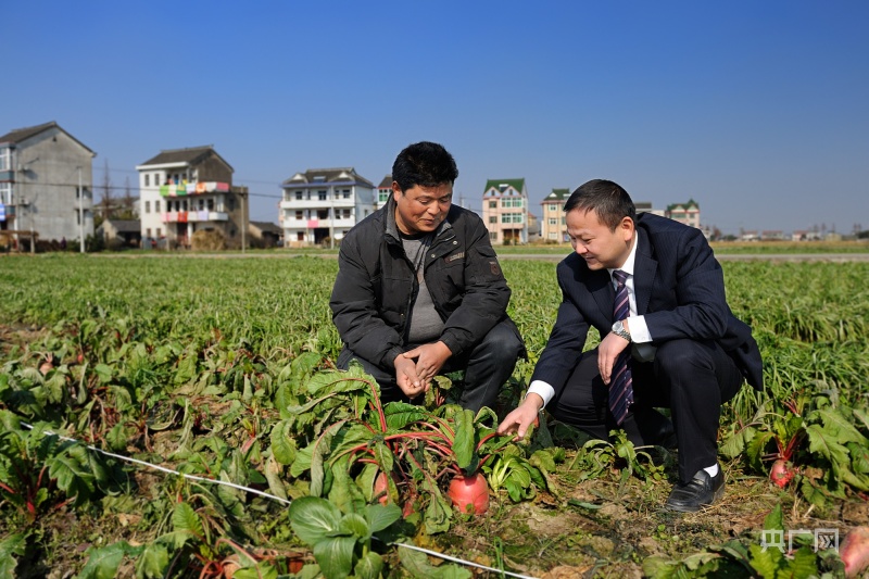 金融力量促农兴民富 茶咖专属信贷助产业升级