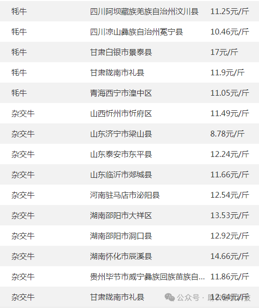 2024年8月14日日照锅炉容器板报价最新价格多少钱