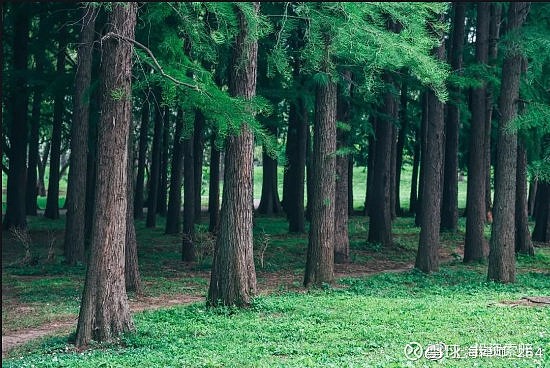 亚太药业：收到阿替洛尔片一致性评价受理通知书