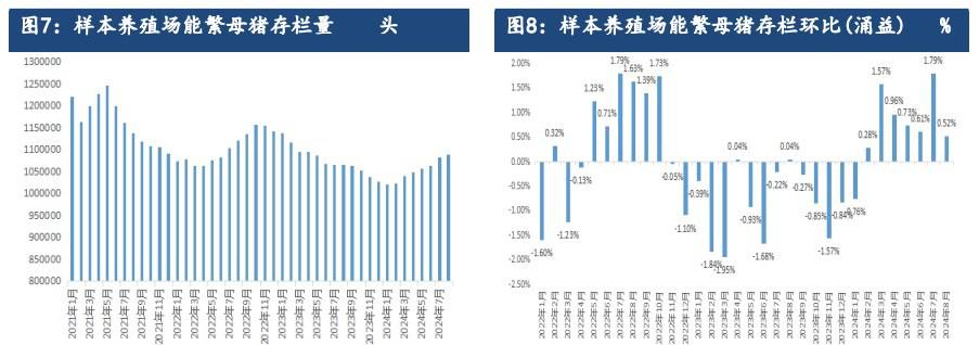 9月生猪售价环比下行 行业看好四季度需求