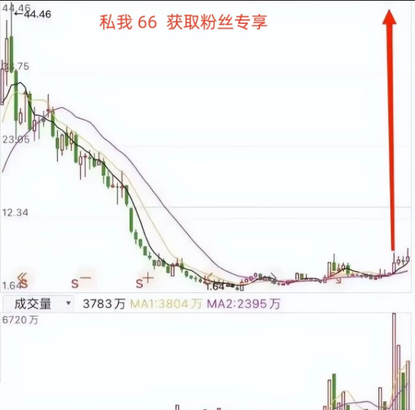 沃尔核材：前三季度净利同比预增30%―40%