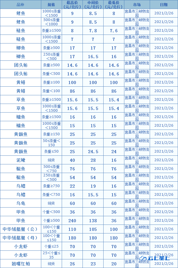 2024年10月21日衡水焊管价格行情最新价格查询