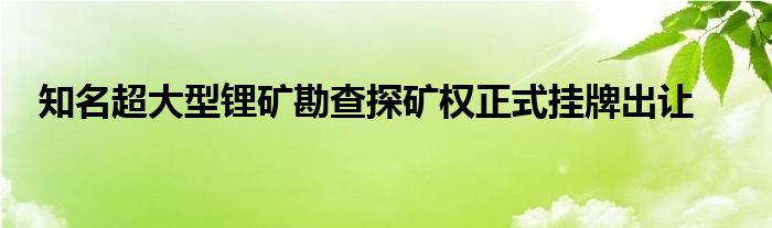 亚洲超大型锂矿探矿权，3家企业入围！都是什么来头？