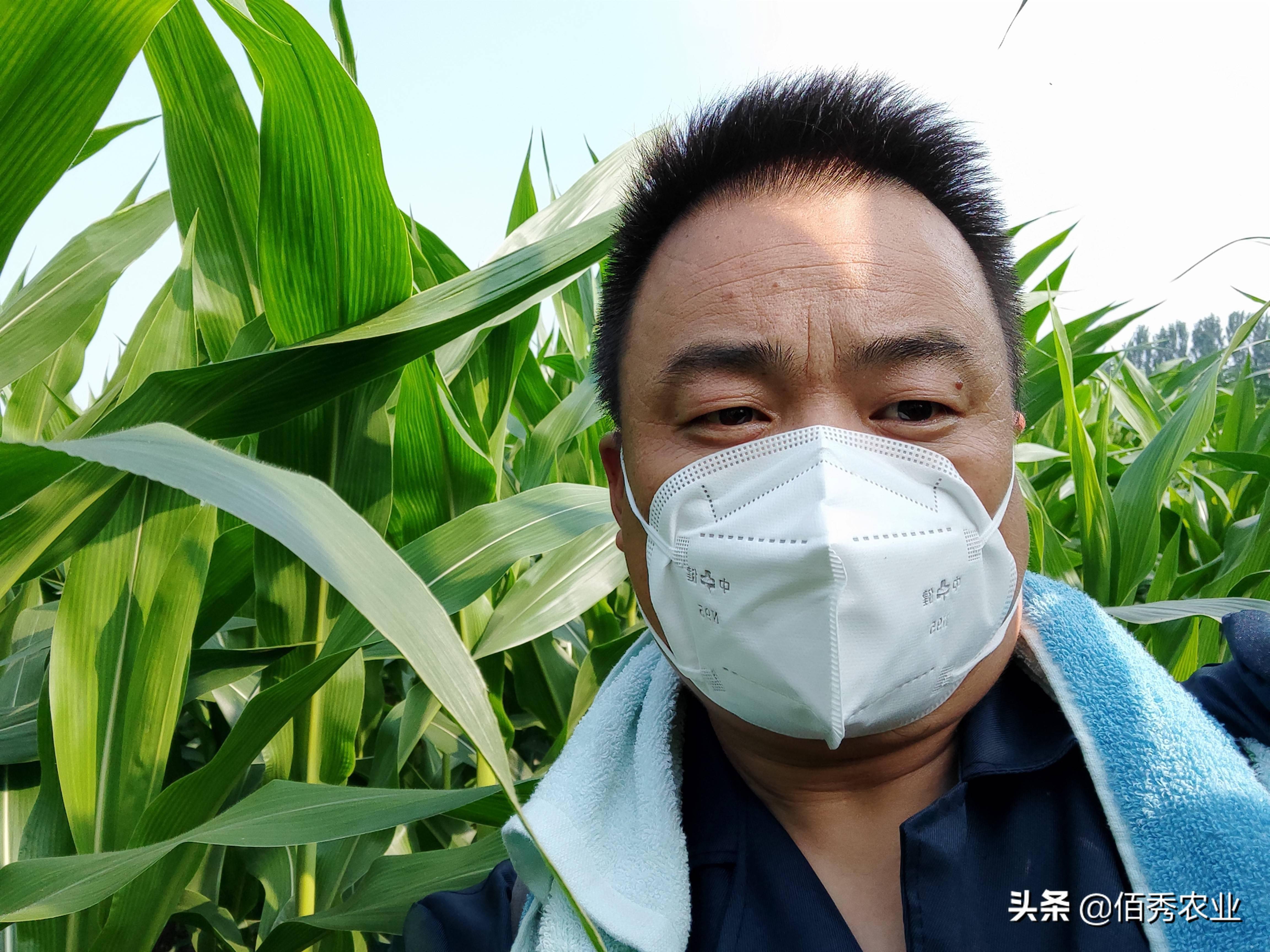 塔吉克斯坦玉米产量不足