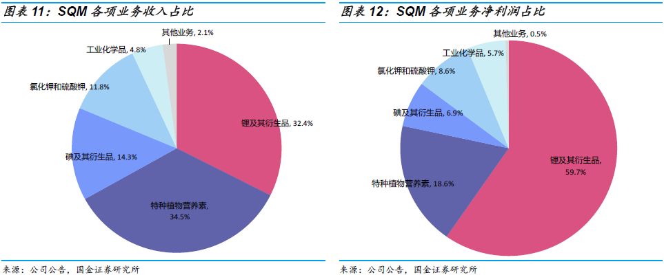 智利国有企业业绩有所下滑