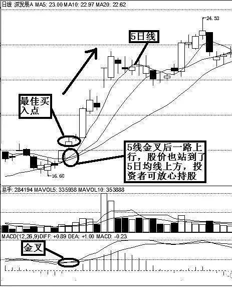 528只股短线走稳 站上五日均线