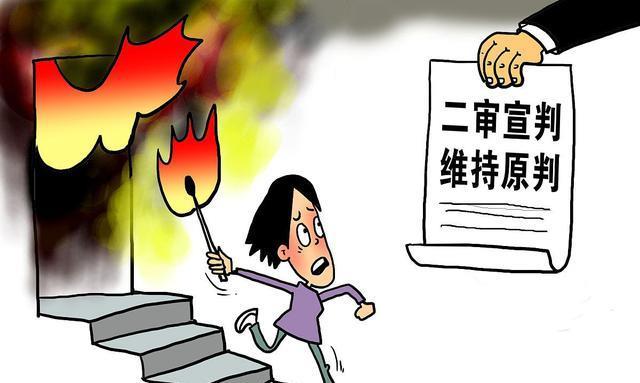 重审二审维持原判 振芯科技原董事长莫晓宇解散国腾集团计划落空