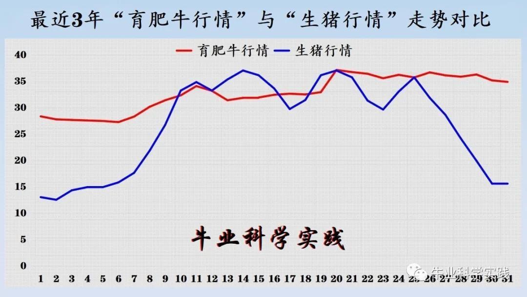 2025年1月4日最新脱色剂价格行情走势查询