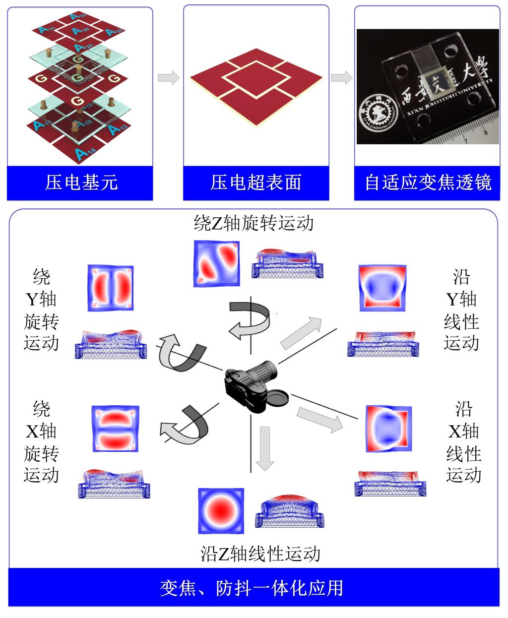 生物游动机制为研发给药机器人提供新思路