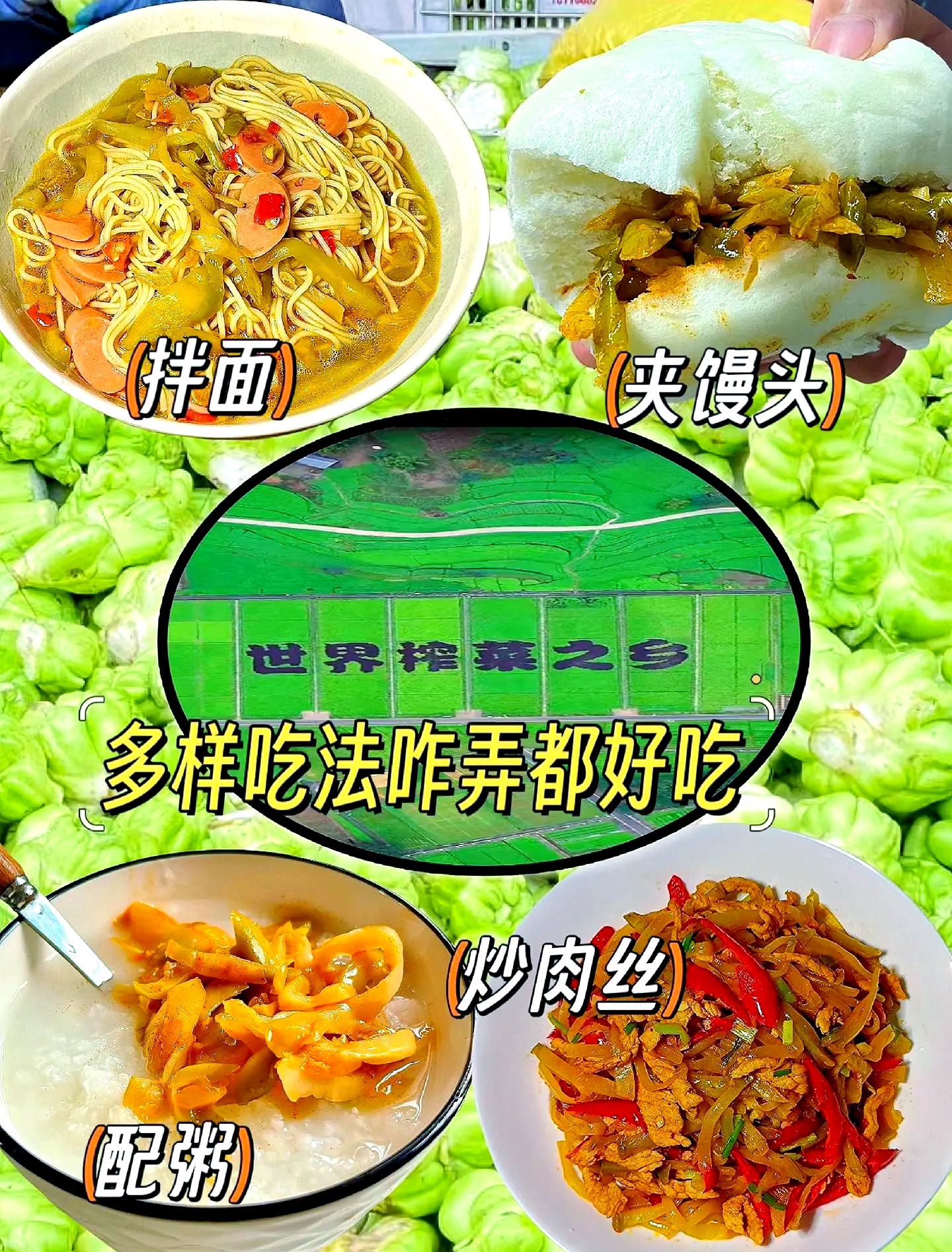 涪陵榨菜：正在投建的“乌江涪陵榨菜绿色智能化生产基地”为榨菜的集约化生产加工基地