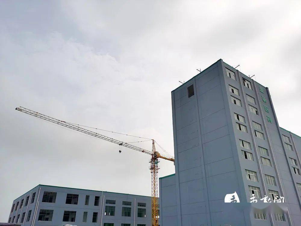 濮阳盛基控股集团拟发行7.5亿元公司债,获上交所受理