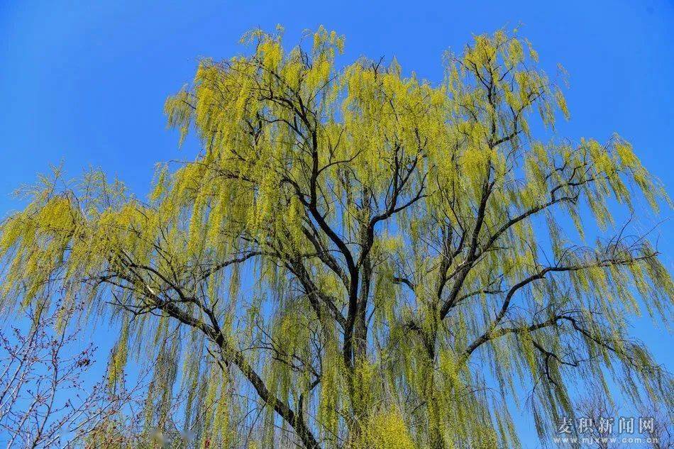 【财经分析】信用债市场春意正浓 多利好支撑行情稳健延续