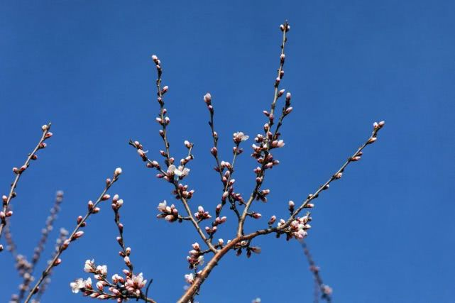 【财经分析】信用债市场春意正浓 多利好支撑行情稳健延续