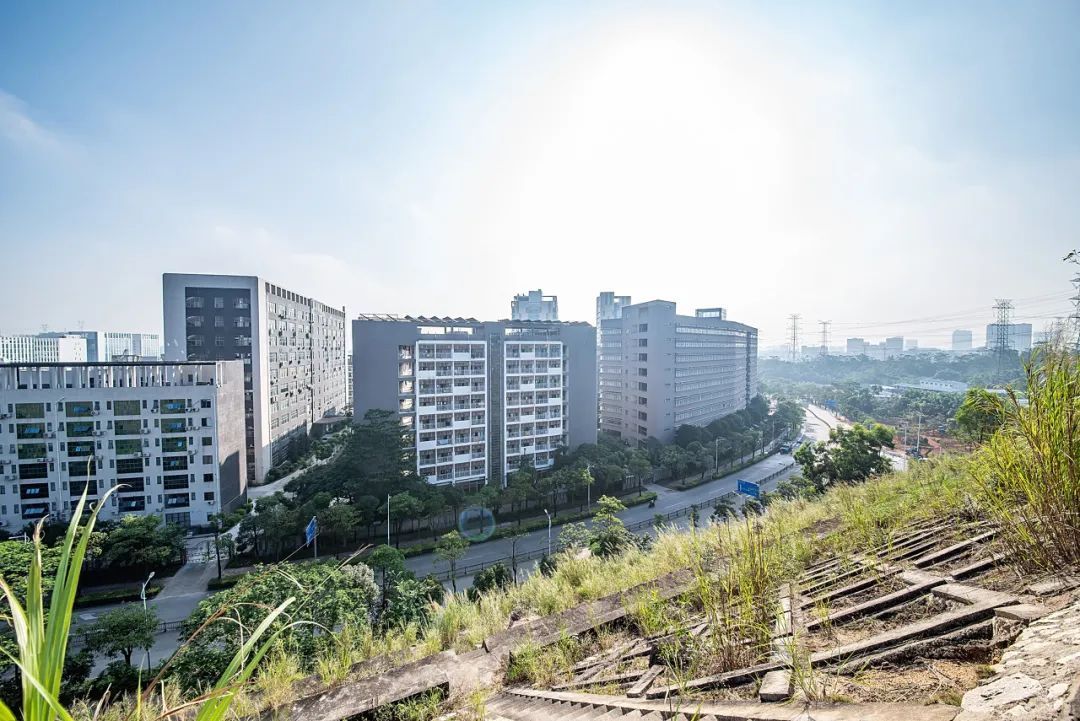 康耐特光学(02276.HK)5月8日回购2103.37万港元，已连续6日回购